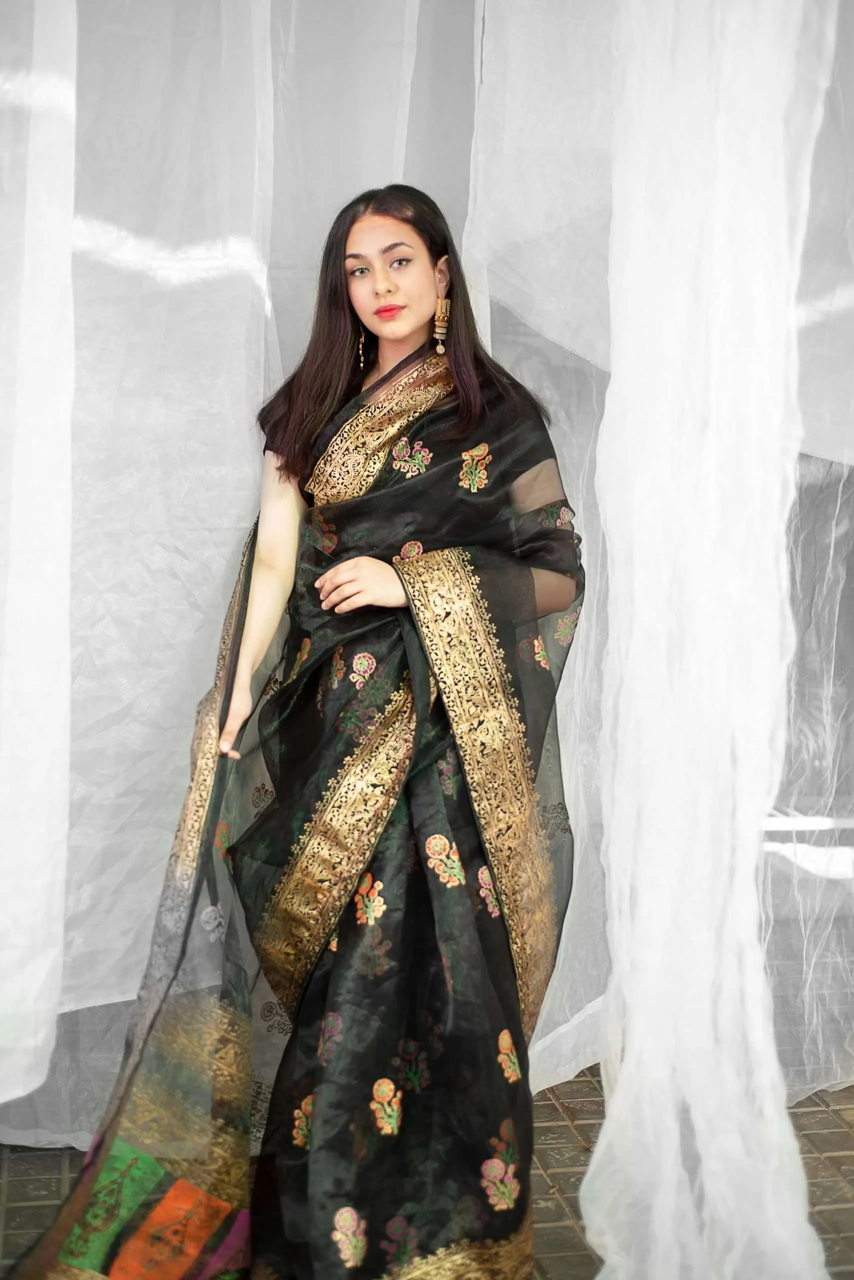 Block Printed Organza: Akbari