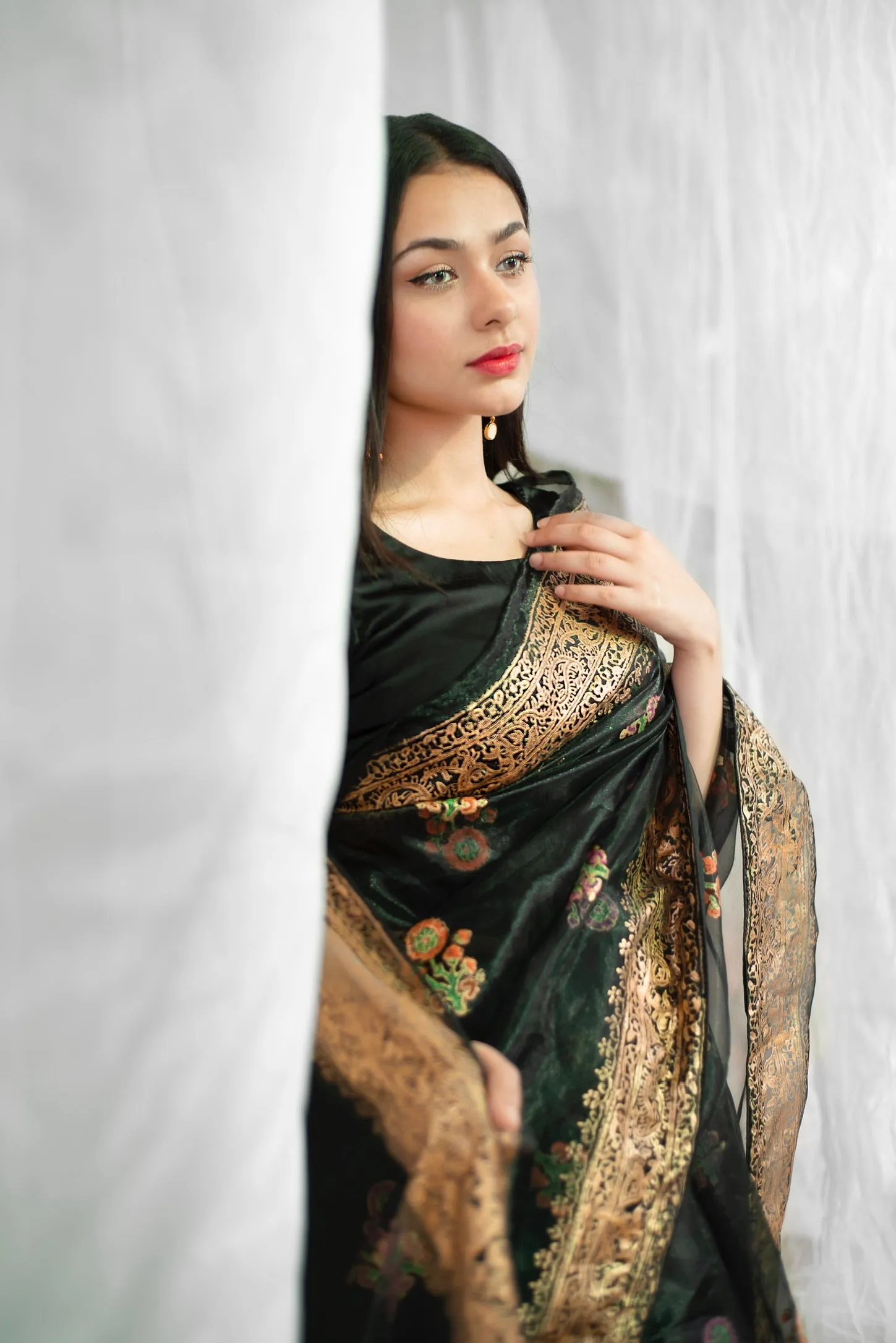 Block Printed Organza: Akbari